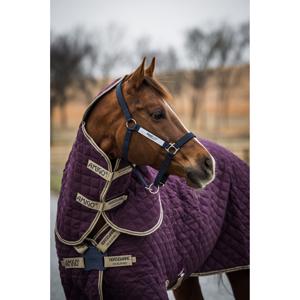 Amigo Stable Rug Plus Disc Front - Fig/Navy